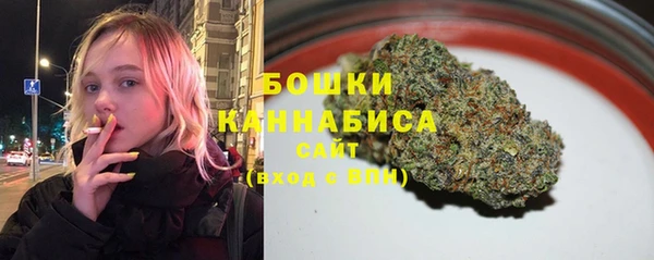 spice Зеленодольск