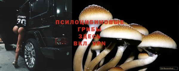 spice Зеленодольск