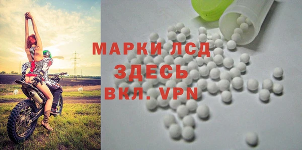 прущие крисы Зеленокумск