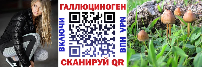 Псилоцибиновые грибы мухоморы Купить где Меленки