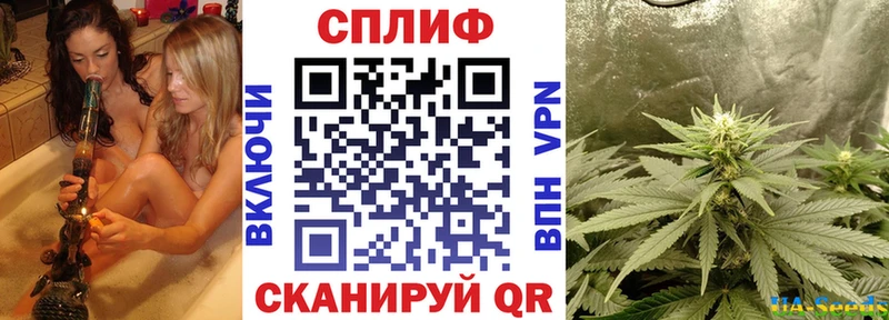 Купить где  Меленки  Конопля Amnesia 